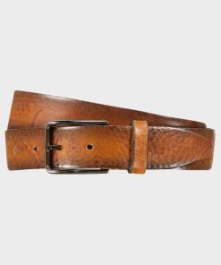 Zenithmarine.shop8cf9f523c9 1